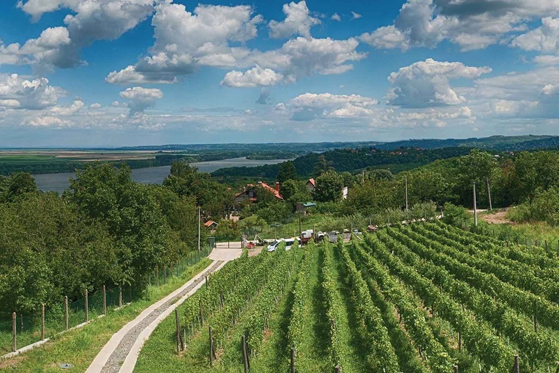 Proleće u Grockoj: Najlepša mesta za šetnju i fotografisanje